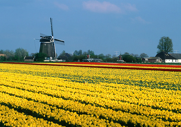 Traningslager-Holland4-Sportsinternational